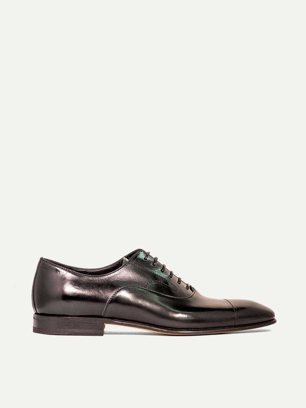Marco Di Milano Pissa Brown Leather Oxford